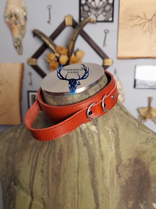 Service Pup Collar - Red