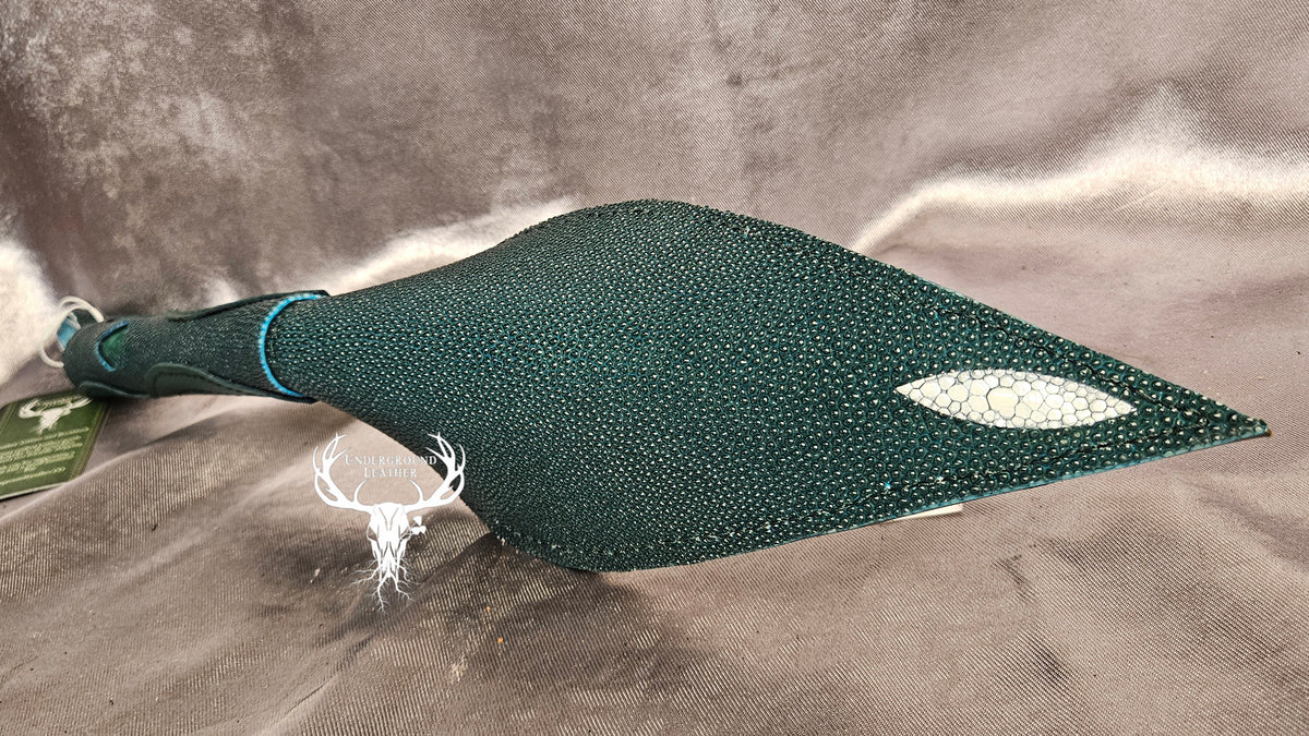 Stingray Snap Dragon - Teal