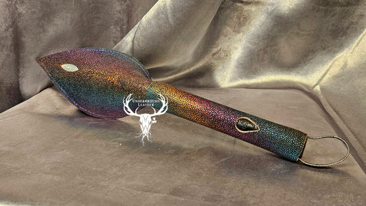 Rabbit Ear - Rainbow Stingray
