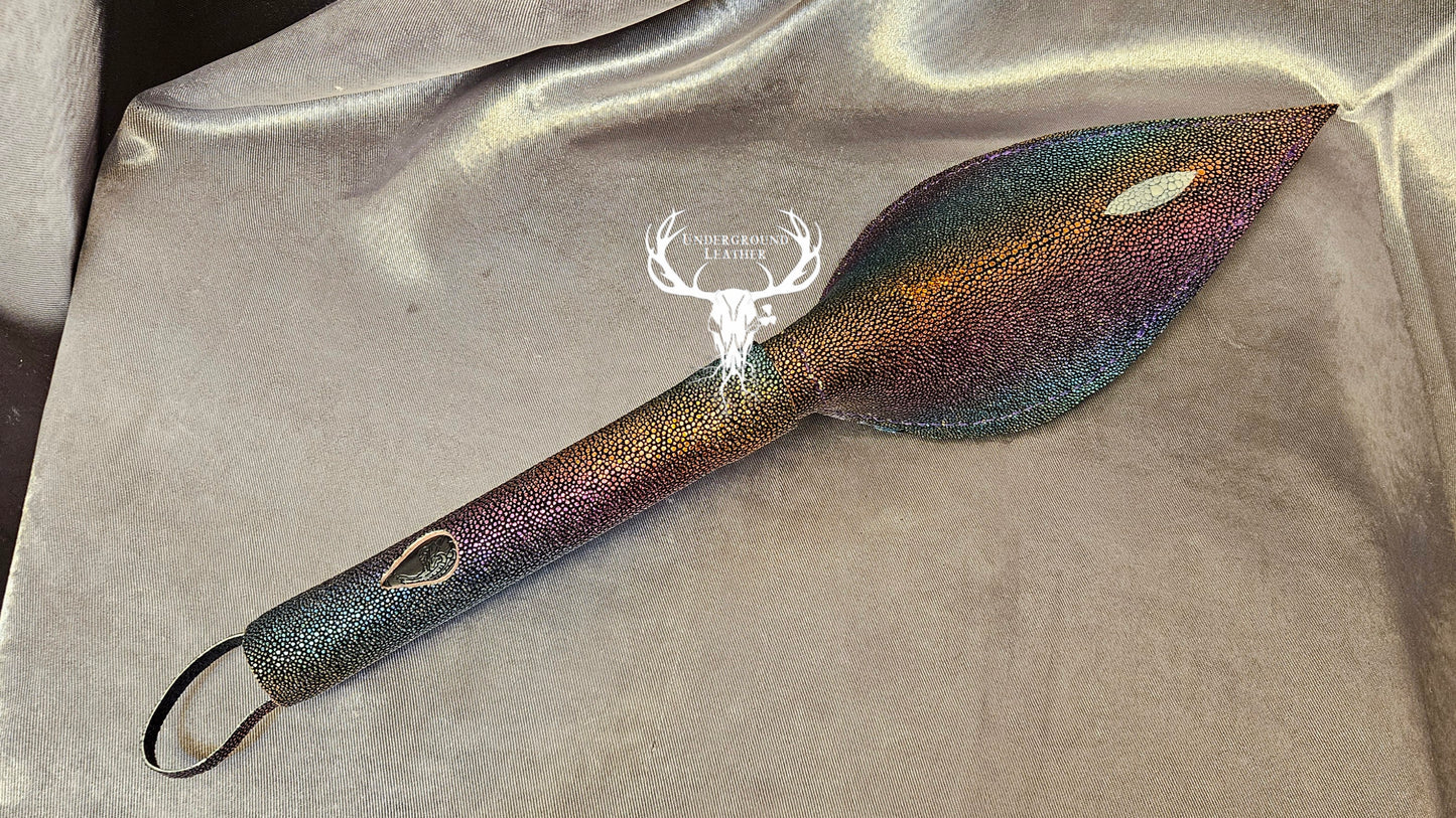 Rabbit Ear - Rainbow Stingray