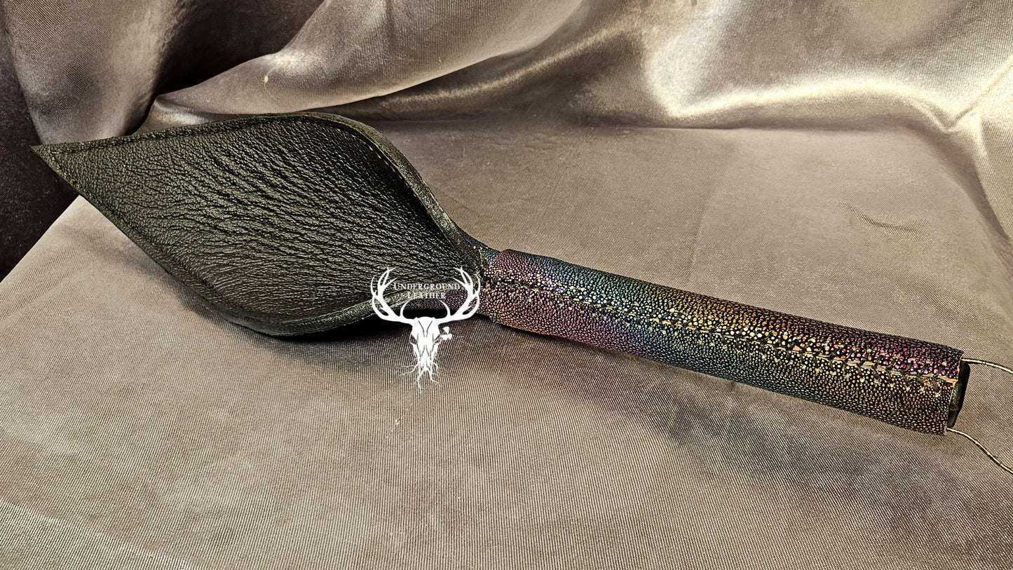 Rabbit Ear - Rainbow Stingray