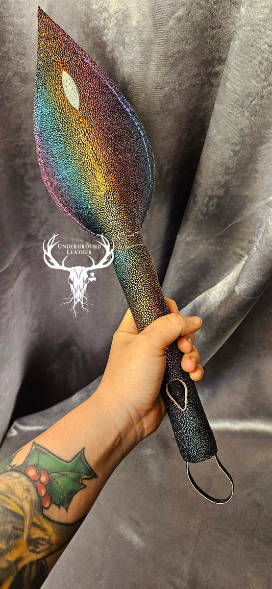 Rabbit Ear - Rainbow Stingray