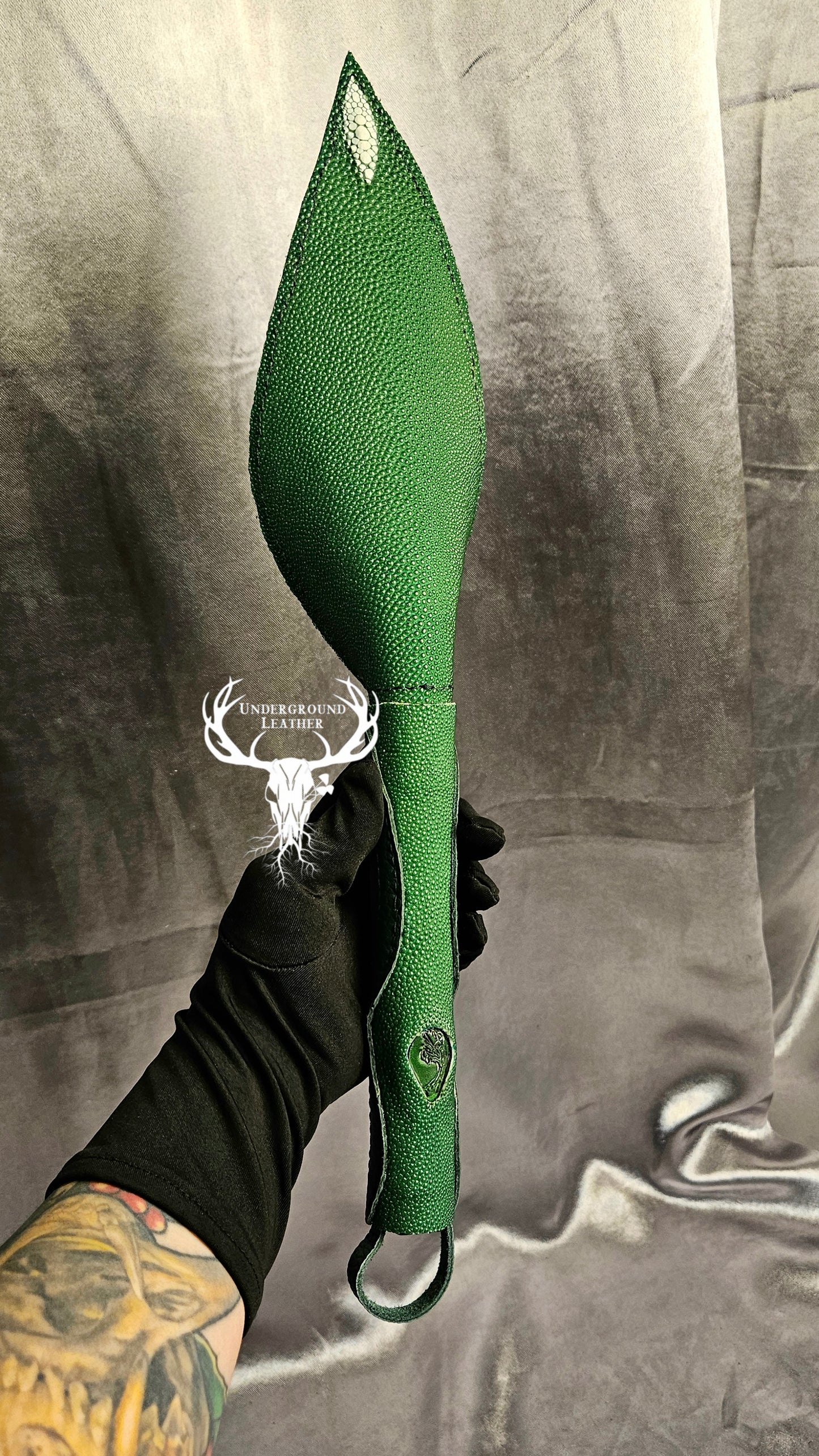 Rabbit Ear - Green Stingray