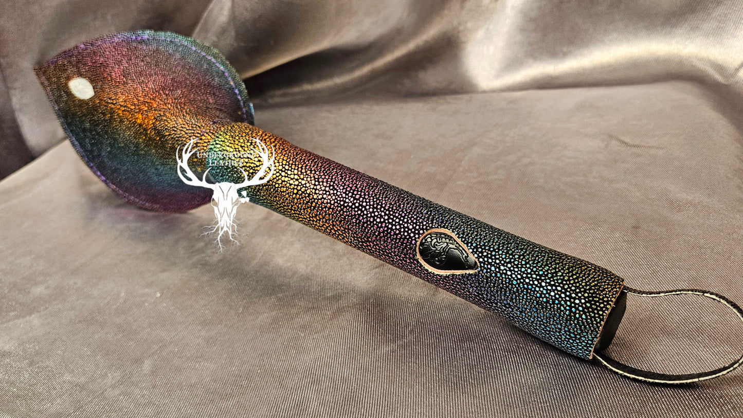Rabbit Ear - Rainbow Stingray