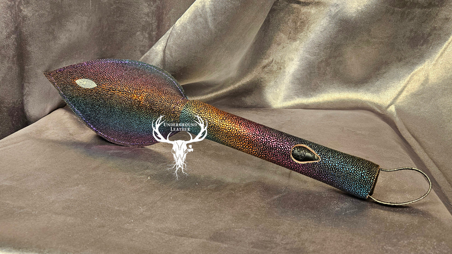 Rabbit Ear - Rainbow Stingray